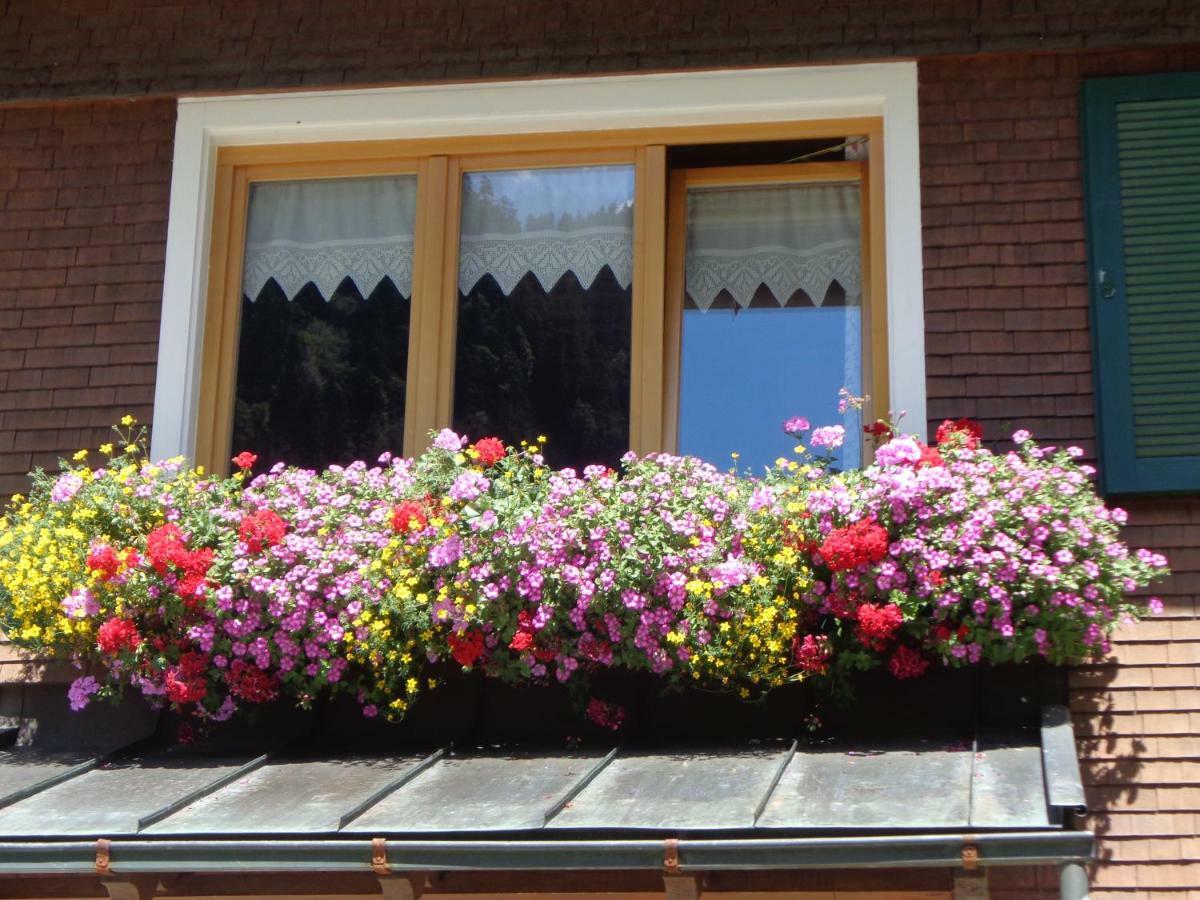 Haus Annelies Apartment Au (Vorarlberg)