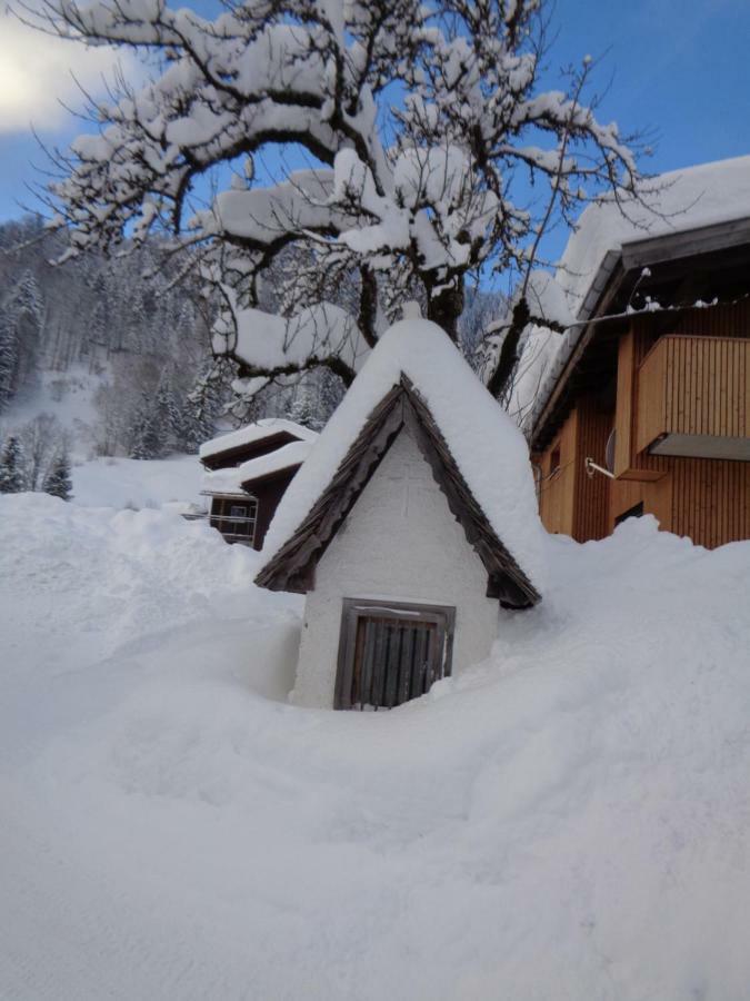 Apartment Haus Annelies Au (Vorarlberg)